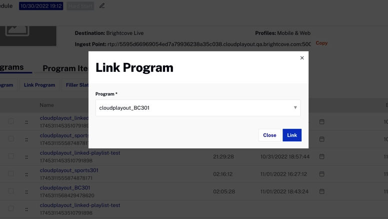 Link Program Dialog