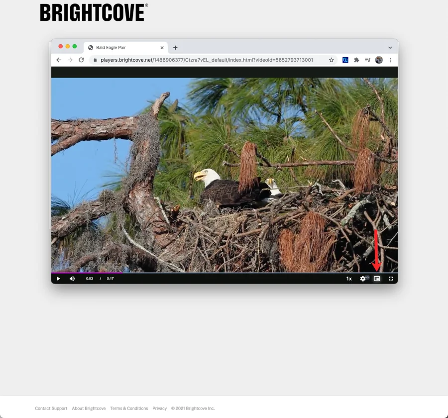 Player with picture-in-picture button highlighted
