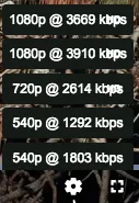 Quality selector menu showing resolutions with bitrates